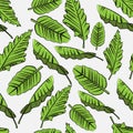 modern Seamless pattern tropical leaf nature for enjoy your holiday print cloth