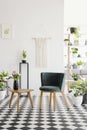 Modern seat and retro coffee table on a checkered floor in a botanical living room interior. Real photo