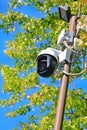 A modern security camera mounted on a pole amidst vibrant green leaves under a clear blue sky Royalty Free Stock Photo