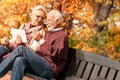 Senior  couple having video call via tablet PS  in autumn park Royalty Free Stock Photo