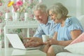 Modern senior couple smiling while browsing on laptop. Royalty Free Stock Photo