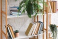 Modern shelf unit with books near brick wall, closeup Royalty Free Stock Photo