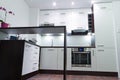 Modern shiny kitchen interior