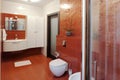 Modern shower cabin and bidet