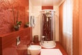 Modern shower cabin and bidet