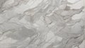 Modern Silver Symphony: Silver Shadow Marble Texture in Gray Palette. AI Generate