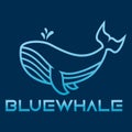 Modern simple minimalist Whale mascot logo design vector with modern illustration concept style for badge, emblem and tshirt Royalty Free Stock Photo