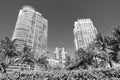 Modern skyscrapers on blue sky with palms and hedge bottom view in South Beach, USA.