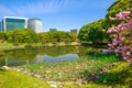 Shiodome buildings of Hamarikyu Gardens Royalty Free Stock Photo