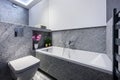 Modern small bathroom in stylish apartment Royalty Free Stock Photo