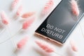 Modern smartphone with the inscription do not disturb and pink dried flowers on a white background. Concept of rest, solitude and