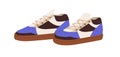 Modern sneakers, laced sport shoes pair. Comfortable fashion casual footwear design. Comfy trendy trainers, tricolor