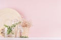 Modern soft light pink pastel home interior with green plant, dried white flowers, beige bamboo plate on white wood background. Royalty Free Stock Photo