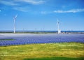 Modern solar station with blue panels and windfarm with wind turbines stand in field with green grass and clouds above