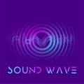 Modern sound wave equalizer. Abstract Fluid Creative Templates with Dynamic Circle Waves.Cards, Color Covers Set. Geometric design Royalty Free Stock Photo