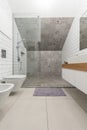 Modern spacious bathroom design