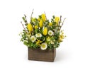 Modern Spring Flower Arrangement with Yellow Tulips and Aster in Wood Box Florist Made in Flower Shop Royalty Free Stock Photo