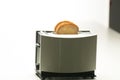 A modern staninless toaster