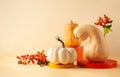 Modern still life with different sort of pumpkins, berries and leaves on colorful podiums. Autumn concept with food and geometric