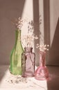Modern still life with a glass vases and decorative gypsophila flowers.