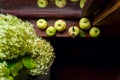 Modern still life with green hydrangea flowers and green apples on a window sill of a wooden country house