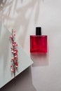 Modern still life with perfume and pink dry branch of barberry on gray background with long shadows Royalty Free Stock Photo