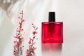 Modern still life with perfume and pink dry branch of barberry on gray background with long shadows Royalty Free Stock Photo
