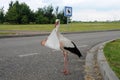 Modern stork, he brings the baby to the parking area