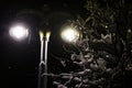 Modern street lamp in winter. Snow in the trees around Royalty Free Stock Photo