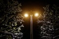 Modern street lamp in winter. Snow in the trees around Royalty Free Stock Photo