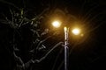 Modern street lamp in winter. Snow in the trees around Royalty Free Stock Photo