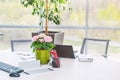 Modern stylish office work place near big window. Laptop, notebook, stationery, keyboard and flower pot on the desk at coworking e Royalty Free Stock Photo