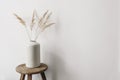 Modern summer, fall still life photo. Grey ceramic vase with dry festuca grass on old wooden stool. White wall