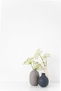 Modern summer indoor interior. Gray, black and white vases with herbal gerard bouquet on table on white background.