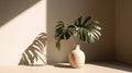 Modern summer minimal of plant in sunlight with long shadows on beige wall background