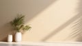 Modern summer minimalist of beige wall in sunlight with long shadows and vase, copy space interior lifestyle Mediterranean scene