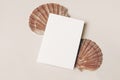 Modern summer stationery still life. Blank vertical greeting card, invitation mock up scene with pink oyster sea shells