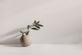 Modern summer still life photo. Beige ball shaped vase with green olive tree branch in sunlight with long shadows.Beige