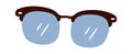 Modern Sunglasses Illustration