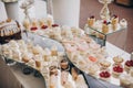 modern sweet table at celebration. stylish candy bar with delicious cakes, cookies, cupcakes with fruits in pink and white colors