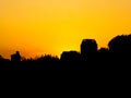 Modern tall apartments buildings silhouette under the sunset Royalty Free Stock Photo