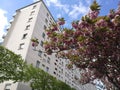 Tree in bloom with behind a modern tall building to Rennes in France.