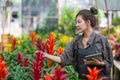 Modern technologies for farmers and growing flowers. Beautiful girl asia with tablet in hands near flowers in greenhouse. Plant