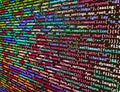 Modern technologies, web cascading design. Programmer occupation. Web developer programmer monitor screen display. Developer Royalty Free Stock Photo