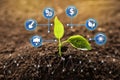 Technology in agriculture. Green seedling and icons