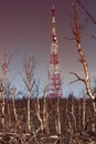 Modern telecommunication tower and destroyed forest tundra