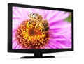 Modern televisor Royalty Free Stock Photo