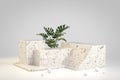 Modern Terrazzo Marble Podium With Monstera Green Plant 3d Render