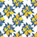 Modern texture with bush of hand drawn flat citrus fruits with leaves. Vector seamless pattern with bunch of lemons with blue Royalty Free Stock Photo