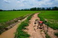 Modern Thai farmers use drones to spray chemicals Above the rice fields